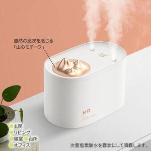 次亜塩素酸水対応 超音波加湿器 USB充電式 大容量１L　ポータブル 車内 玄関 空間除菌｜sanwaichishouji