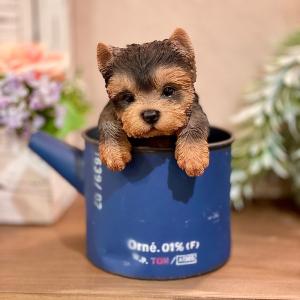 犬の置物 ヨークシャテリア おまけ付 2818H いぬ イヌ 動物