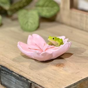 金魚アート インテリア オブジェ アート 桜 プリザーブドフラワー 本物