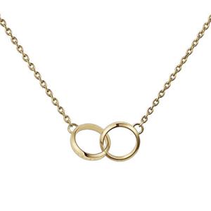 Daniel Wellington ダニエルウェリントン ネックレス DW アクセサリー Elan ...