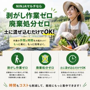 生分解マルチシート オーミヤ NINJAマルチ...の詳細画像1