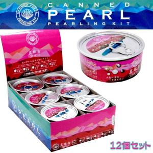 真珠缶 真珠採集キット 12個セットの商品画像