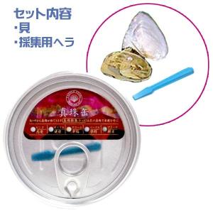 真珠缶 真珠採集キット 12個セットの詳細画像2