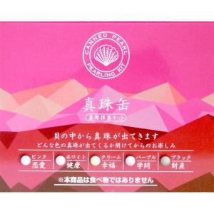 真珠缶 真珠採集キット 12個セットの詳細画像4