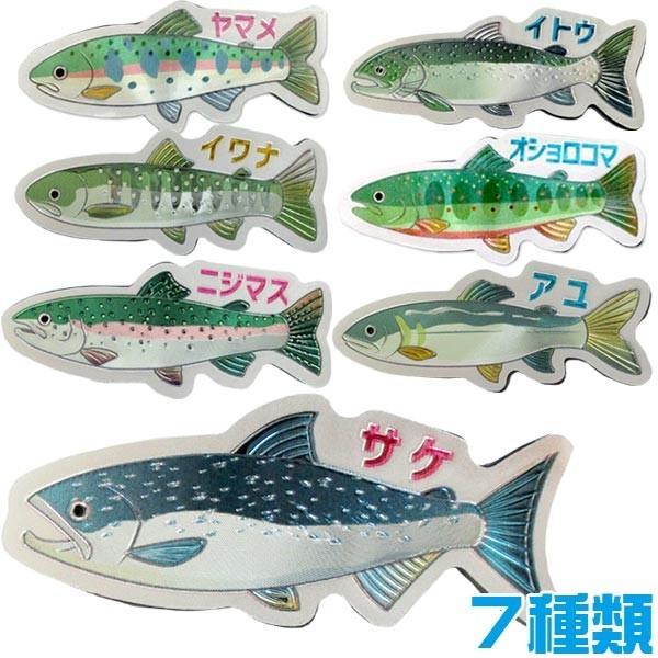 ゆうパケット可 エッチング ダイカット マグネット 川魚 7種