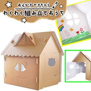 おえかきできちゃう わくわく 組み立ておうち（同梱不可)