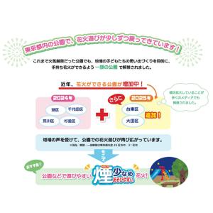 花火 YY-X みんなにやさしい夜はなび 花火...の詳細画像2