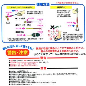 はなびーずM 手持ち花火セット 夏祭りの詳細画像1