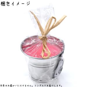 虫よけキャンドルS 燃焼時間約2時間 ランダム...の詳細画像2