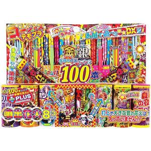 花火セット ゴージャステモプラ