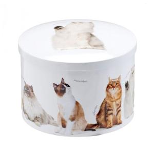 ガーディナーズ オブ スコットランド Gardiners Of Scotland バニラファッジ キャット 丸缶 200g 白無地化粧箱付き 105719