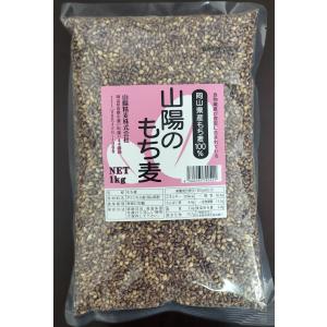 ダイシモチ麦1kg袋入り（岡山県産）　山陽のもち麦