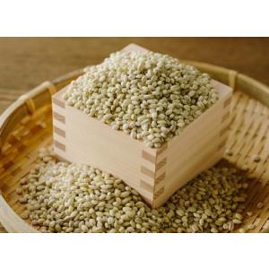 もち麦 国産 岡山産 500g 送料無料 メー...の詳細画像1