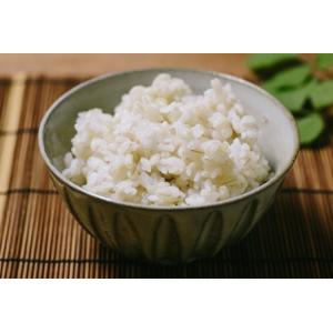 もち麦 国産 岡山産 500g 送料無料 メー...の詳細画像2
