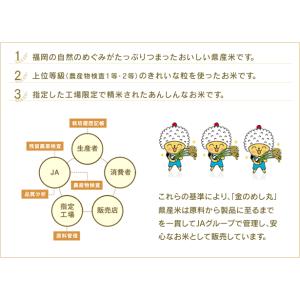 元気つくし 金のめし丸マーク付 福岡県産 10...の詳細画像2