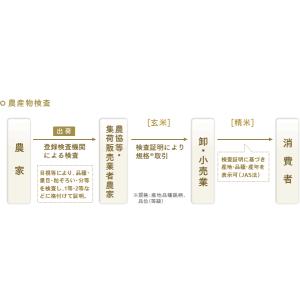 元気つくし 金のめし丸マーク付 福岡県産 10...の詳細画像3