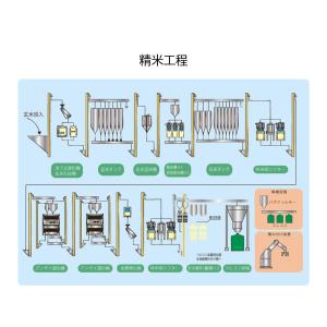 元気つくし 金のめし丸マーク付 福岡県産 10...の詳細画像5
