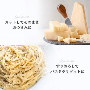 (カット) イタリア産 パルミジャーノ レッジ...の詳細画像5