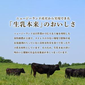 業務用 ニュージーランド産 クリームチーズ 1...の詳細画像1