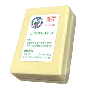 (カット) オランダ リンドレス ゴーダ チー...の詳細画像1