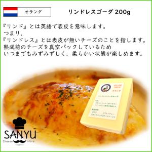 (カット) オランダ リンドレス ゴーダ チー...の詳細画像2