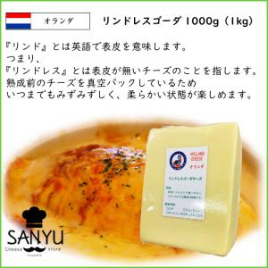 (カット) オランダ リンドレス ゴーダ チー...の詳細画像1