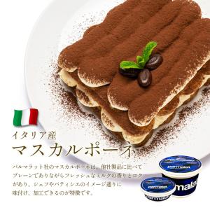 (6個) パルマラット マスカルポーネ チーズ...の詳細画像2