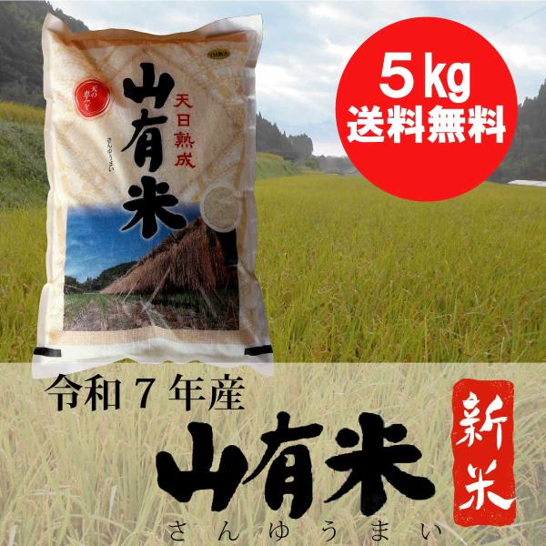 お米　鹿児島県　山有米　新米　白米　5kg Yahoo!店・ＹＭ農法・ＹＭ菌発酵完熟肥料かんとりース...