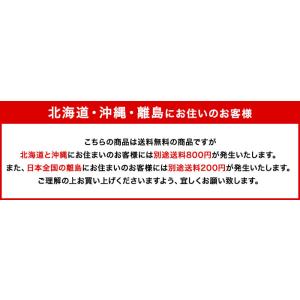 大きいサイズ ナイキ メンズ 低反発 シャワー...の詳細画像4