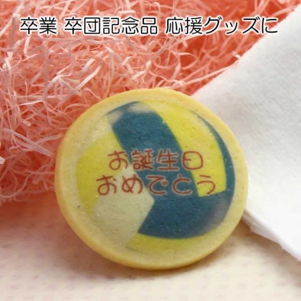バレーボール 大会 卒団 卒部 記念品 名入れ クッキー お菓子