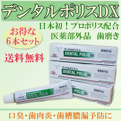 デンタルポリス 80ｇ　×６本　［医薬部外品］ 歯磨き粉　デンタルポリスｄｘ