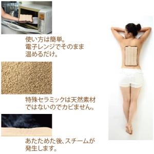 新 ホット&スチームパッド Lサイズ (20×...の詳細画像1