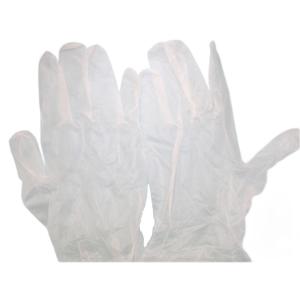 使い捨て手袋 プラスチック手袋 粉なしタイプ 半透明 １００枚入 サイズＬ エコロジーズプロ/0031ｘ１箱/送料無料｜saponintaiga