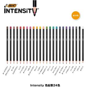 色鉛筆 Intensity 24色 Bicジャ...の詳細画像5
