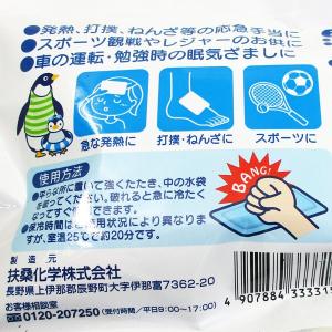 瞬間冷却パック ひえっぺx10個/卸の詳細画像1