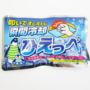 瞬間冷却パック ひえっぺx10個/卸の詳細画像2