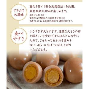 菊正宗のレトルト おつまみ ご当地つまみの旅 ...の詳細画像2