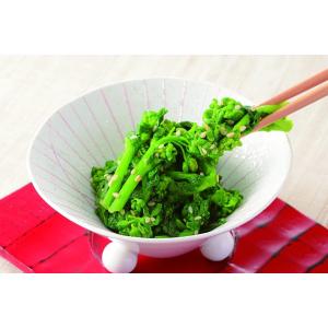 辛子あえの素 20g 3〜4人前 菜の花 ほう...の詳細画像3