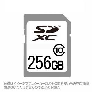 SDカード  SDXCカード 256GB 256ギガ クラス10 お得/送料無料メール便｜saponintaiga