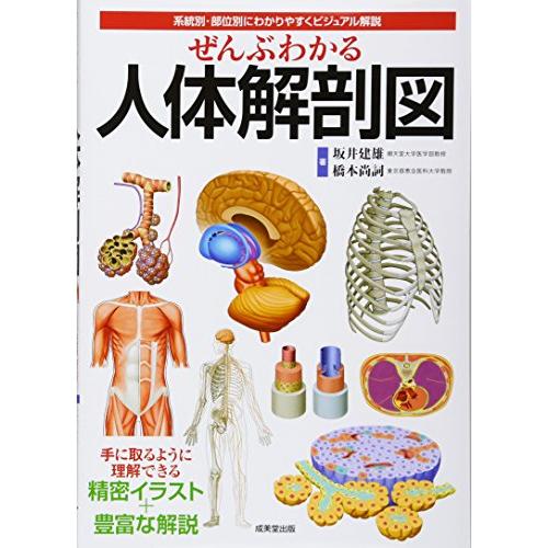 ぜんぶわかる人体解剖図―系統別・部位別にわかりやすくビジュアル解説