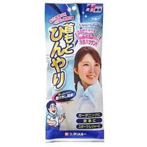 首もとひんやり Wジェルで冷感バツグン ネックール WII