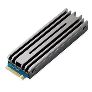 エレコム 内蔵SSD 2TB M.2 2280 PCIe Gen4 x4 [PS5専用設計のヒートシンク付属 取付用ドライバー付] ESD-IP｜sapphire98