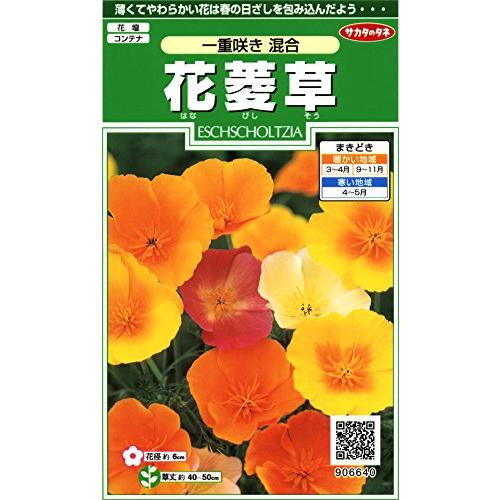 サカタのタネ 実咲花6640 花菱草 一重咲き混合 00906640