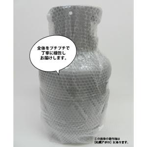 LPガス ガス容器 5kg プロパン 容器 プ...の詳細画像2