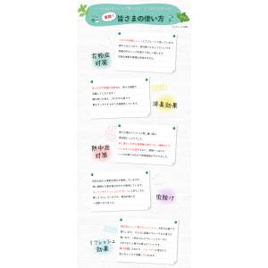 北見ハッカ ハッカ油 11.5ml ハッカ油ス...の詳細画像3
