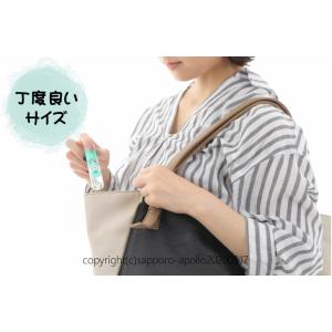 ハッカ油11.5ml×1、ハッカ油詰め替え1箱...の詳細画像2