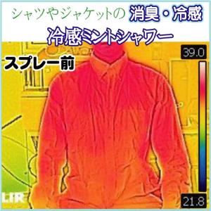 北見ハッカ ミントシャワー 300ml×3本 ...の詳細画像5