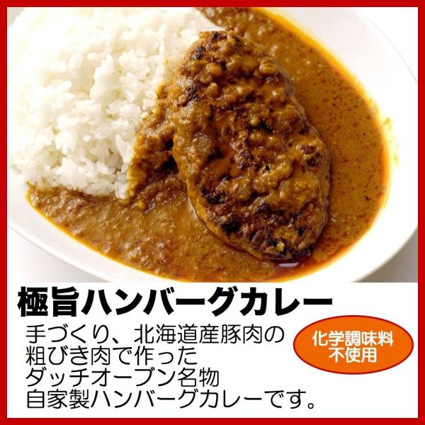 スパイスカレー ハンバーグカレー 専門店 の 無添加　手づくり 熟成 取り寄せ ハンバーグ 冷凍