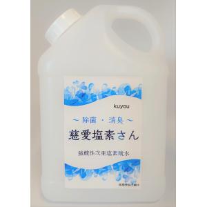 業務用 1L 強酸性電解水 (次亜塩素酸水) コロナ対策 ・ ウイルス除菌