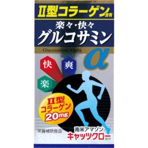 コンドロイチン不足様　リクエスト28点 コンドロイチン グルコサミン サプリ サプリメントコンドロイチン Z-SX